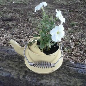 Meet your Posher, Bridget